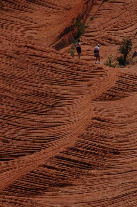 Petrified Dunes